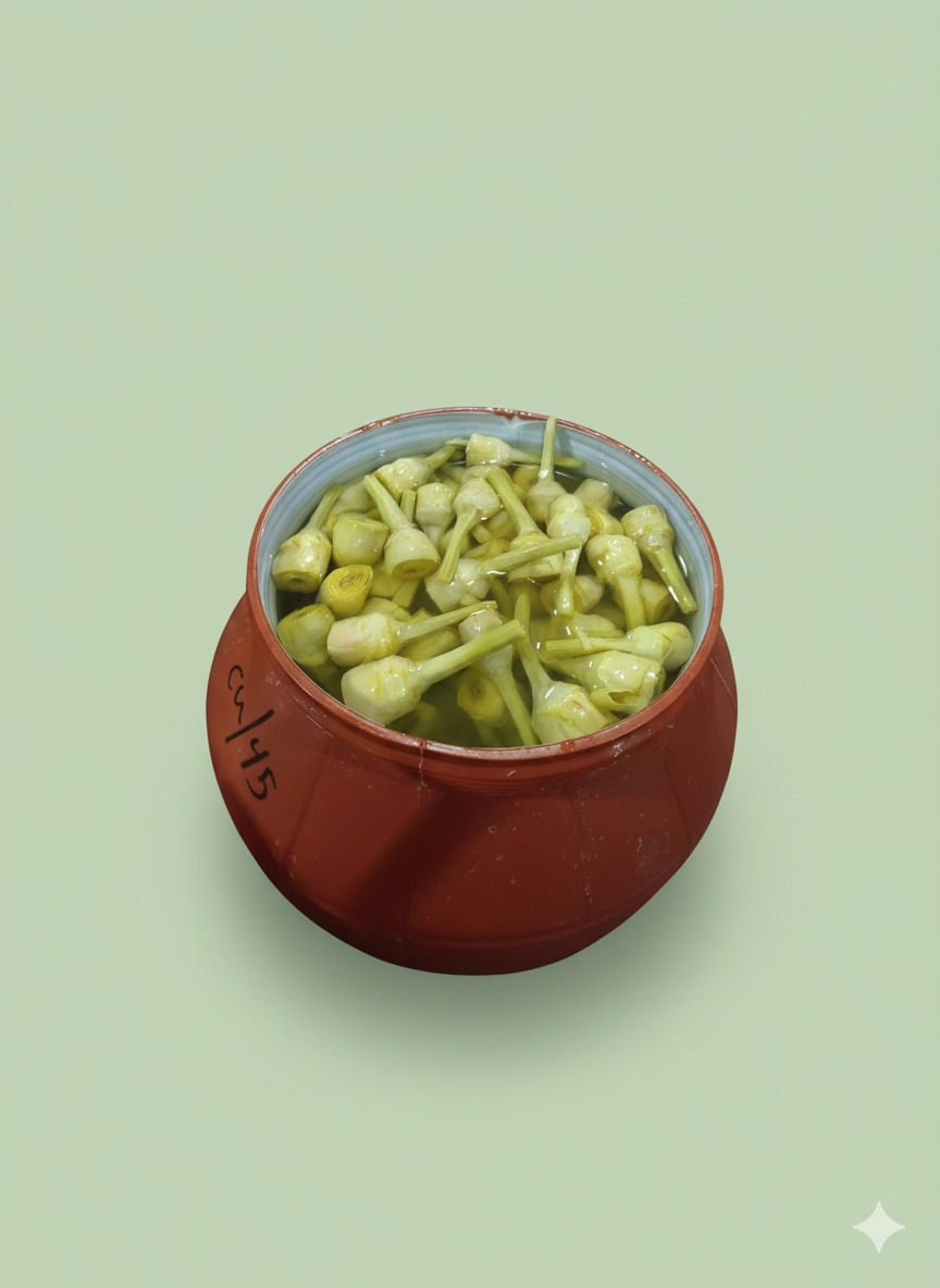 Pickled Artichokes